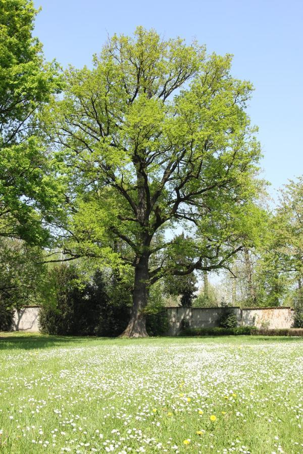 Nerviano Storica Quercia B&B מראה חיצוני תמונה